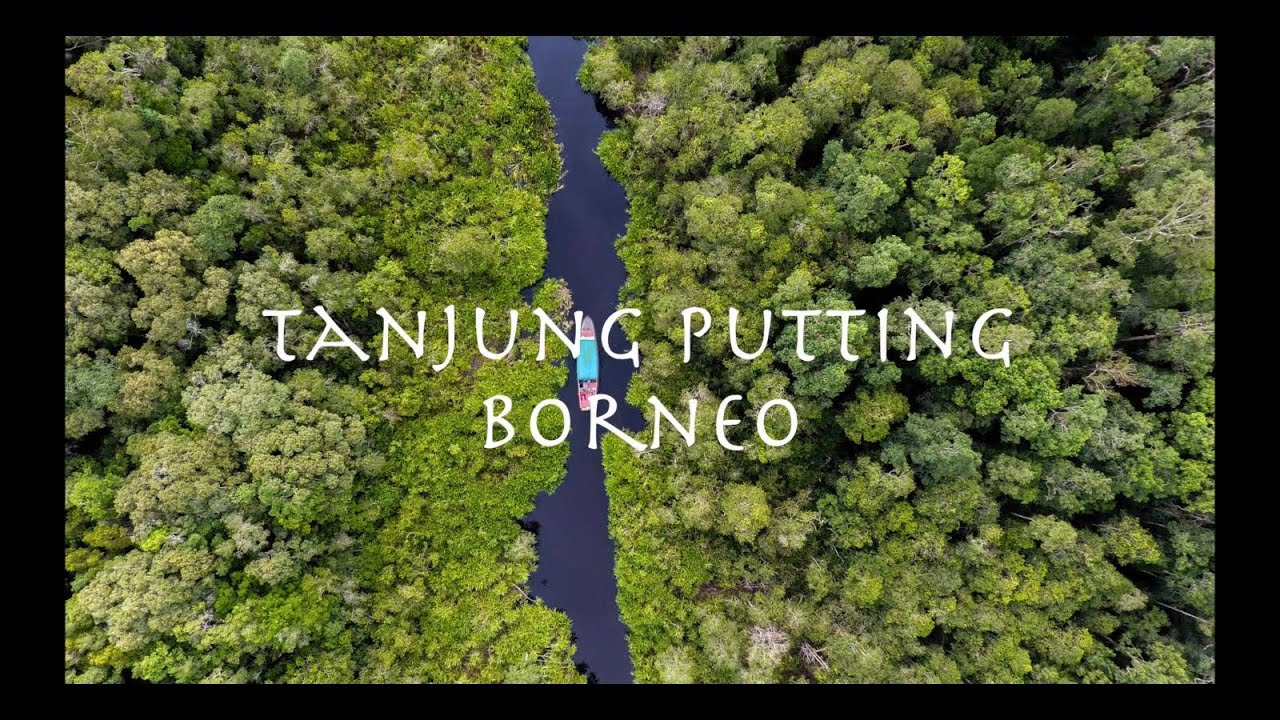 Wonderful Indonesia | Tanjung Puting National Park | Borneo