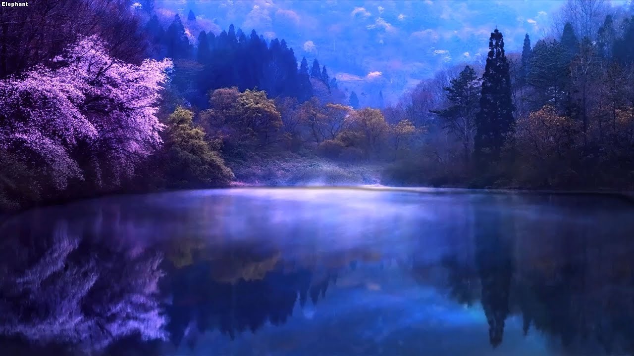 Nghe Để Ngủ Ngon - Nhạc Ngủ Thư Giãn Cho Một Đêm Ngon Giấc 😴 Nhạc Piano Nhẹ Nhàng Giúp Bạn Ngủ Ngon