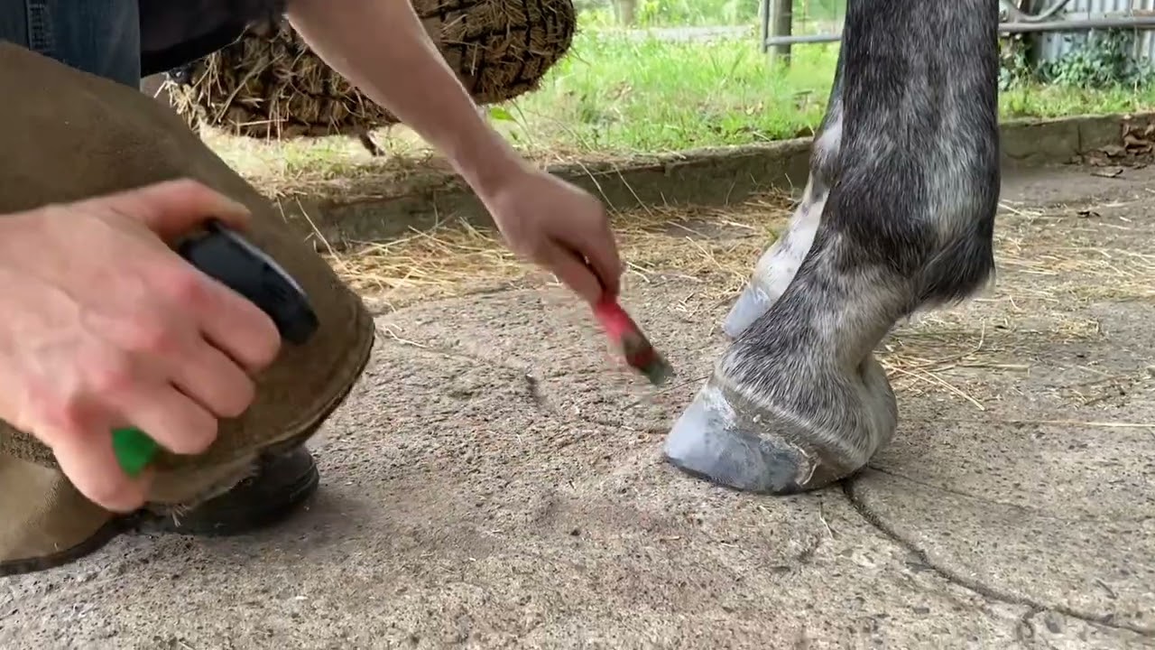 Easycare Versa Shoe - Superglue Application