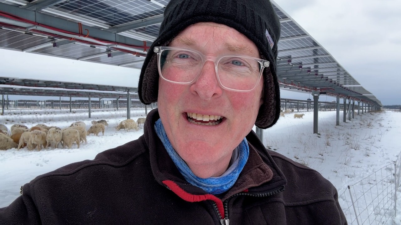 SOLSTICE THAW & Winter Stockpile Grazing Under Solar Panels