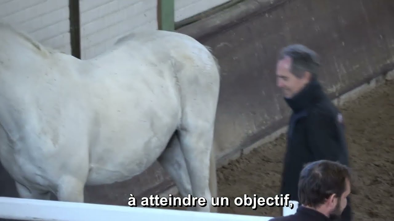 Equicoaching entreprise : t&eacute;moignage de Gilles, Directeur G&eacute;n&eacute;ral D&eacute;l&eacute;gu&eacute; de Savencia