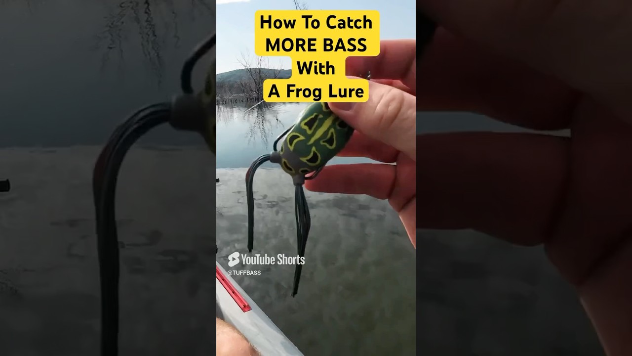 How To Catch MORE FISH With A Topwater Frog Lure!