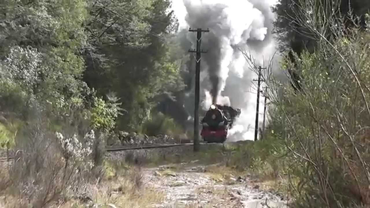 NZ Steam - Full Noise