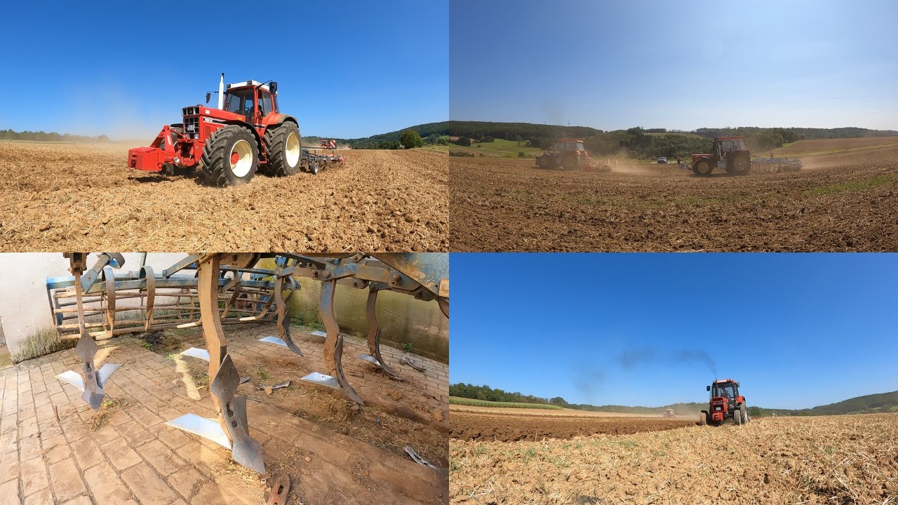 FarmVlog #114 - Stilllegung mulchen | ihc Feldtag | Kampf mit den Grubber Zinken | Schlüter 1500 TVL