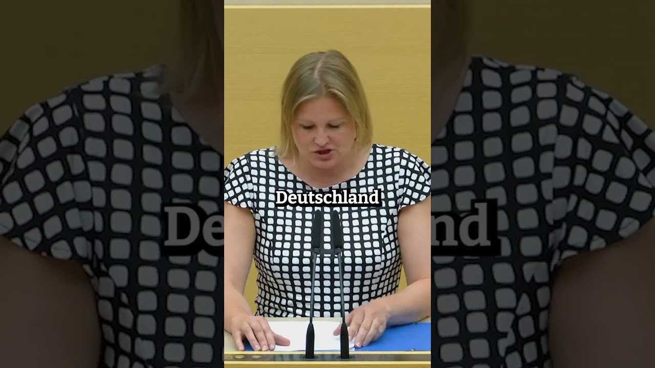 ROTE-AMPEL-Regierung #afd #bundestag
