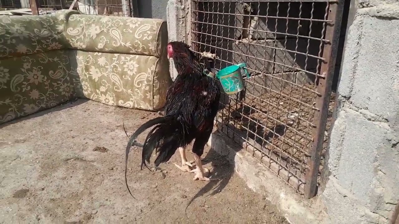 ٧ نوفمبر ٢٠٢٥