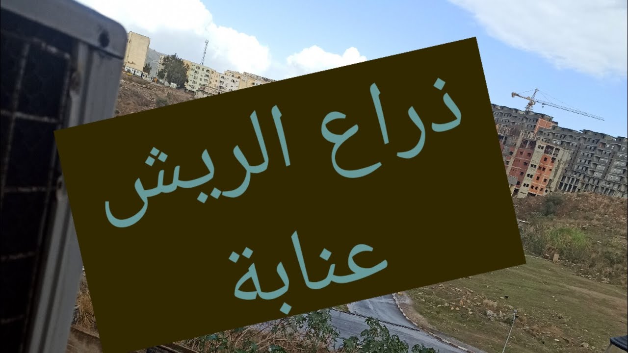 جولة لسكنات عدل بذراع الريش اوسكا 2000 بعنابة ادخلو اديو فكرة