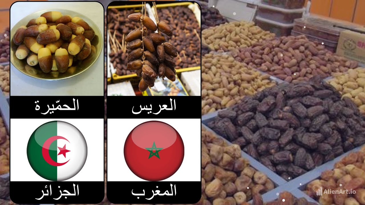 أفضل أنواع التمور في الوطن العربي… كنوز غذائية لا يعرفها الكثير!