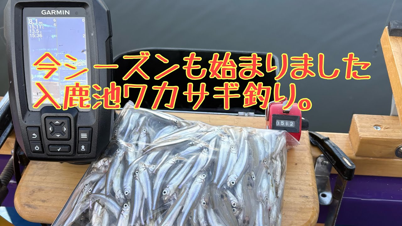 今シーズンも始まりました、入鹿池ワカサギ釣り。　2025.11.16