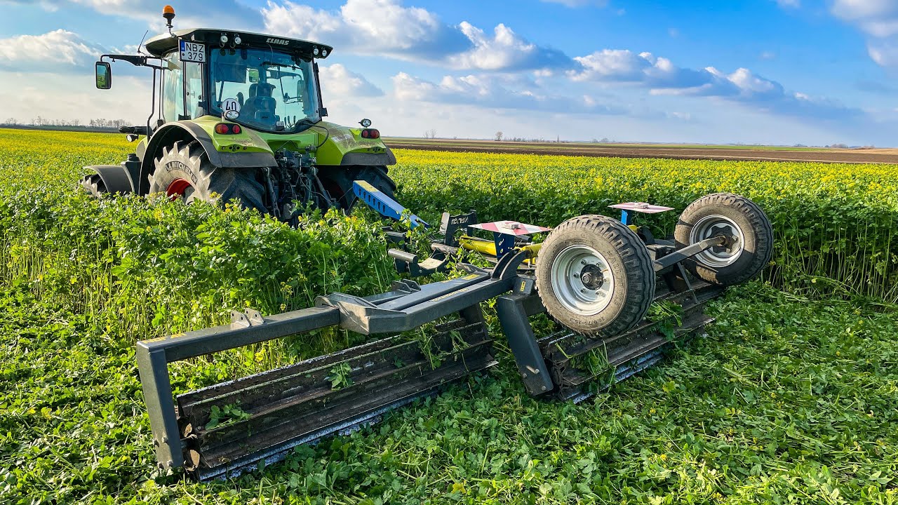 Claas Arion 540 + NorAn X-Press Roller 6,3 m | 80-120 cm zöldítés aprítása | Minőségi aprítóhenger