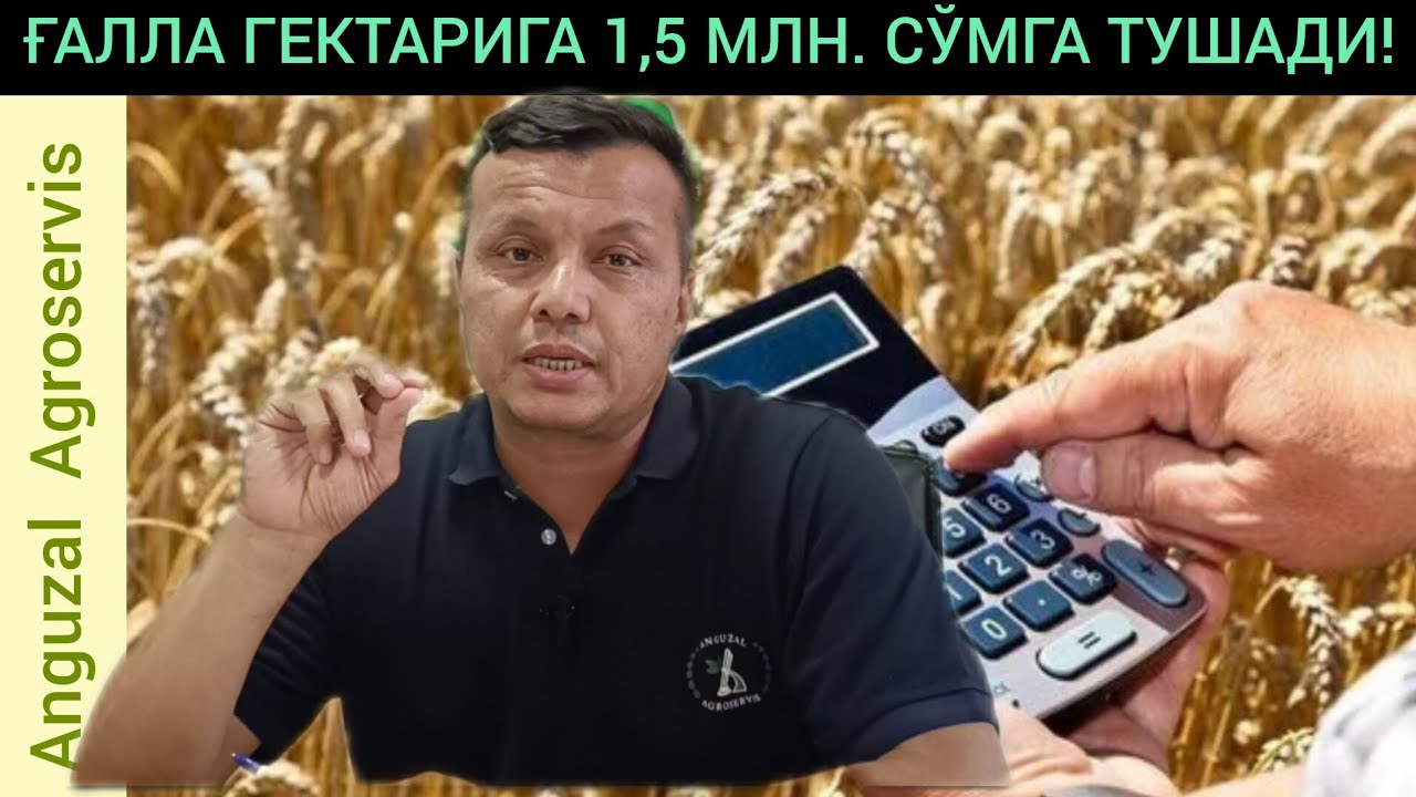 ҒАЛЛА ГЕКТАРИГА 1,5 МИЛЛИОН СЎМГА ТУШАДИ!