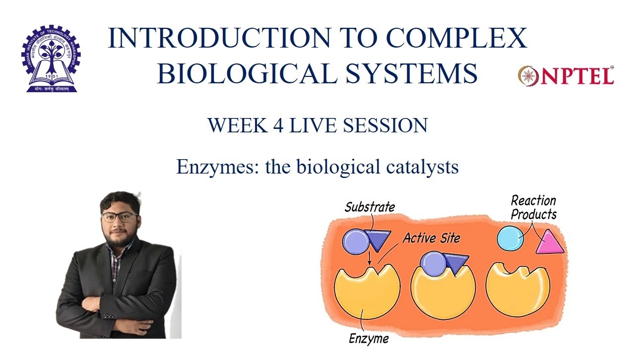 Enzymes: the biological catalysts