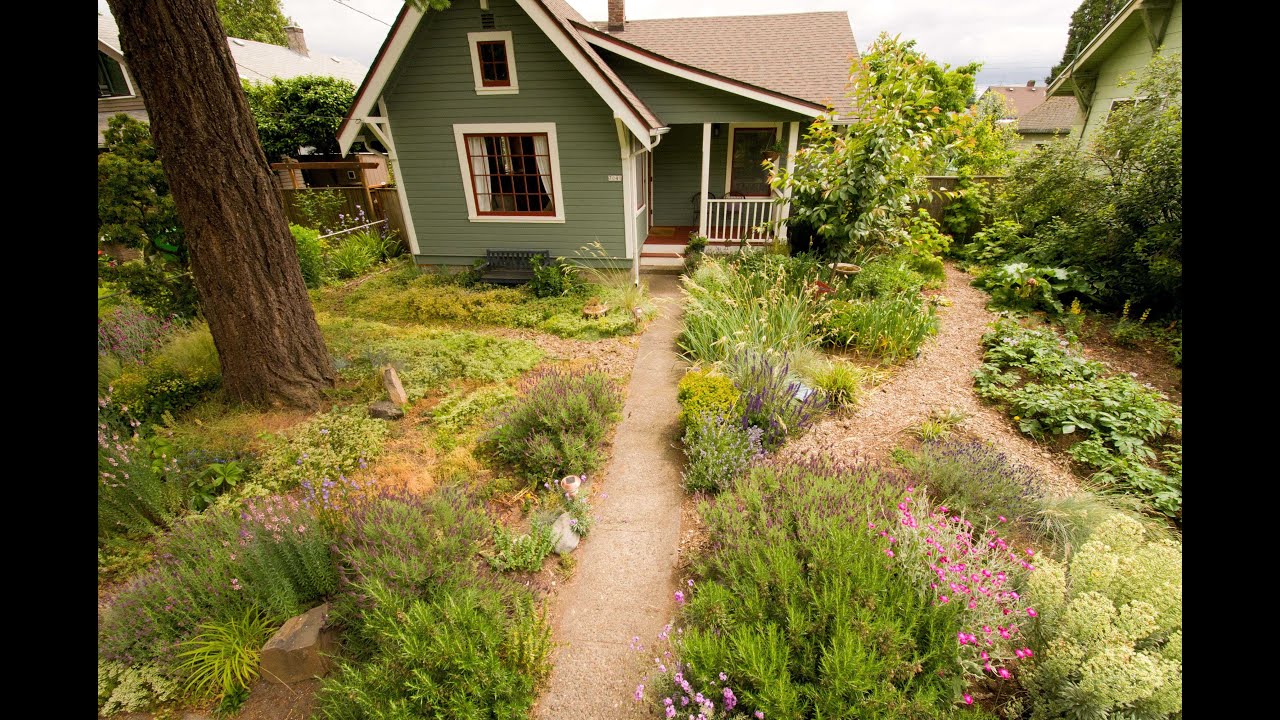 Native Plant Landscaping Course - Design & Benefits - Part 1