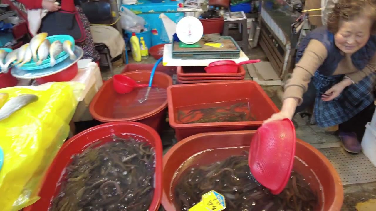 Not a fishes chance in Korea! ;)