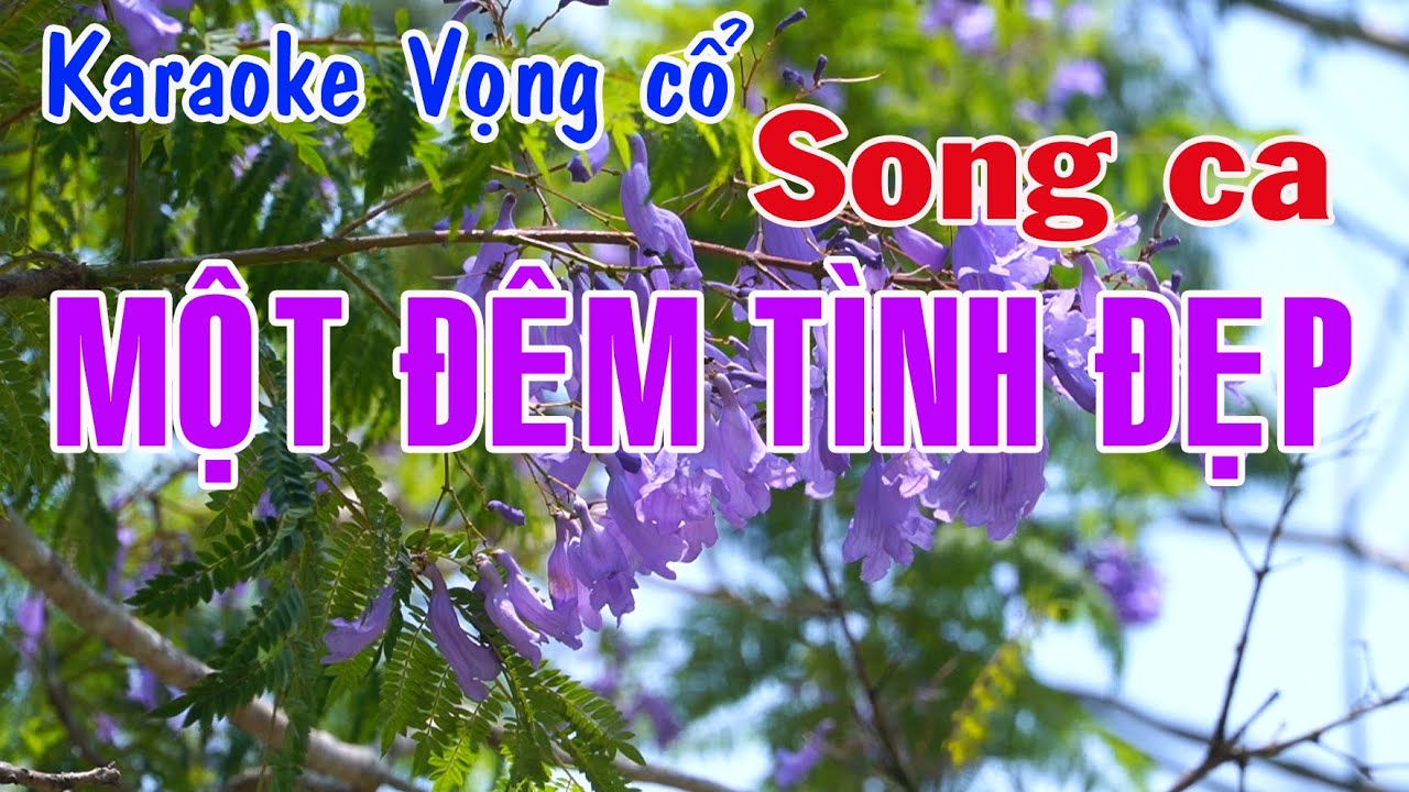 Karaoke vọng cổ MỘT ĐÊM TÌNH ĐẸP - SONG CA [T/g Trần Hiền]
