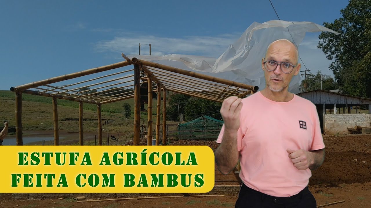 ESTUFA DE BAMBU