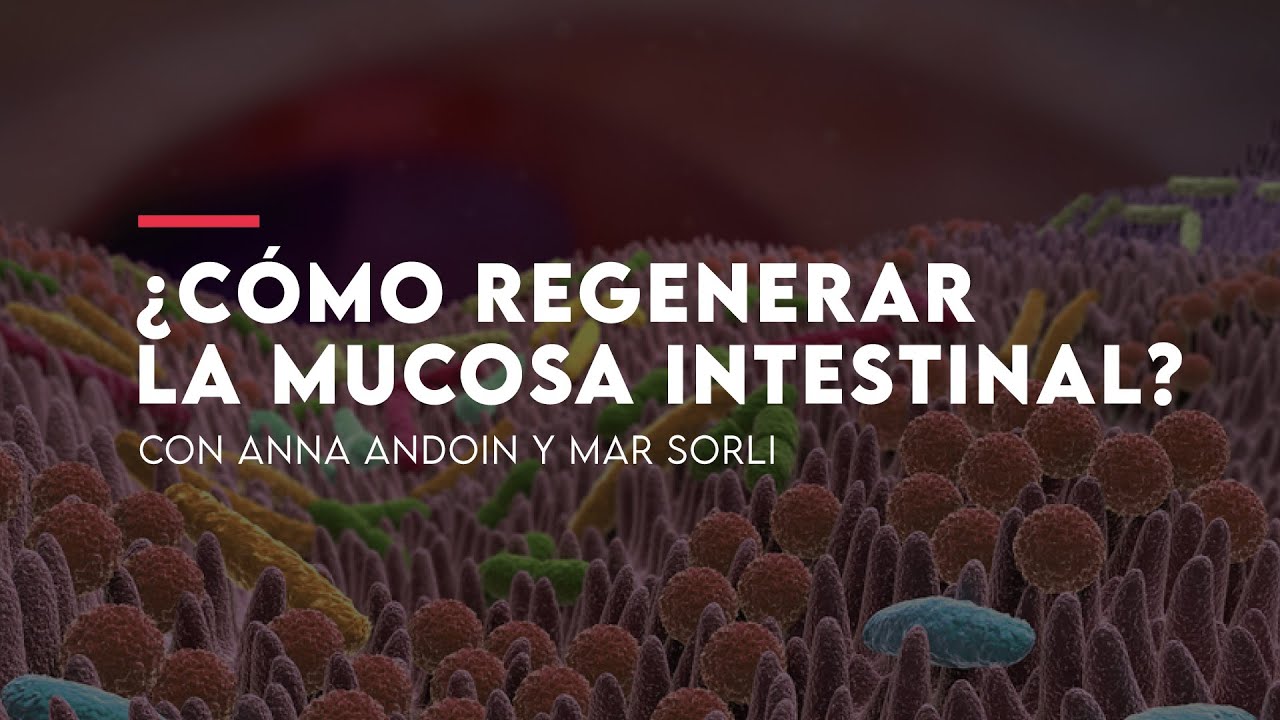 👀 Cómo cuidar las MUCOSAS DIGESTIVAS 💆‍♀️