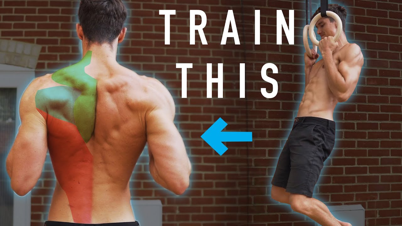 The Missing Link For Your First Pull Up (INCLUDING WORKOUT)