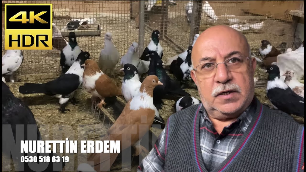 Saya Güvercin Sohbeti Nurettin Erdem (Artist)