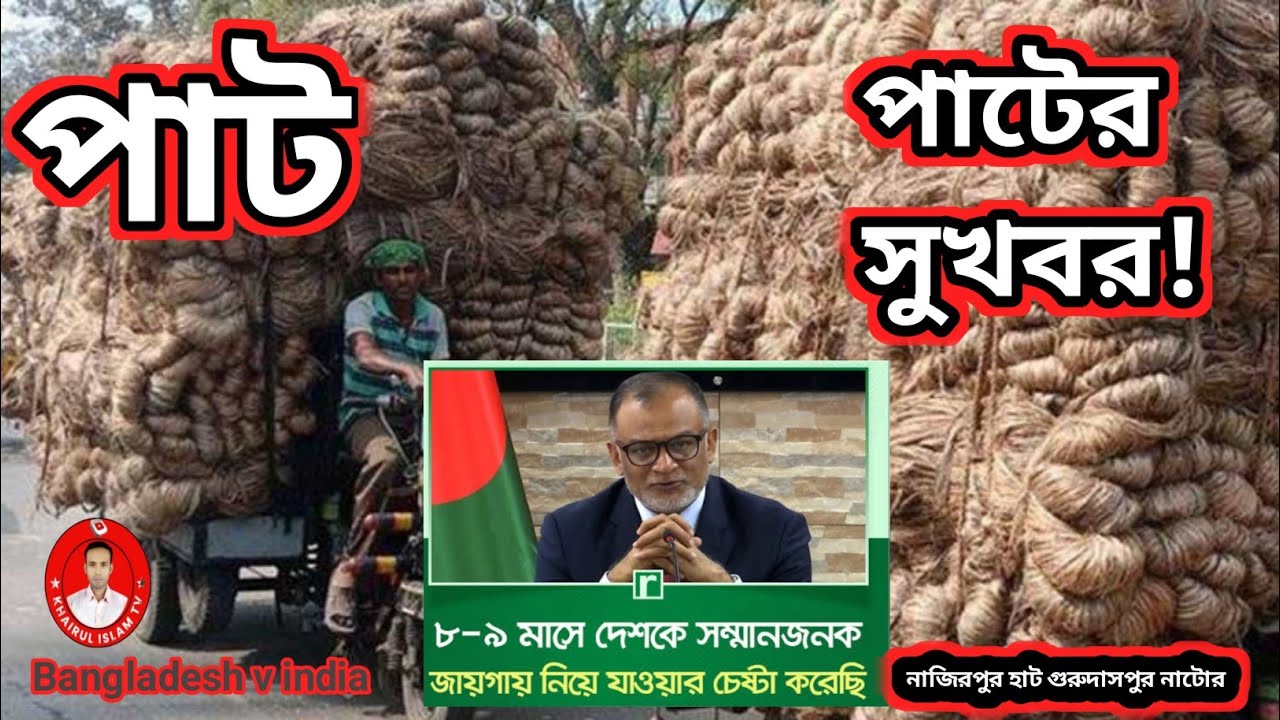 আজকের পাটের দাম ও সুখবর | ১৫-০১-২৬ | নাজিরপুর বাজার | গুরুদাসপুর নাটোর