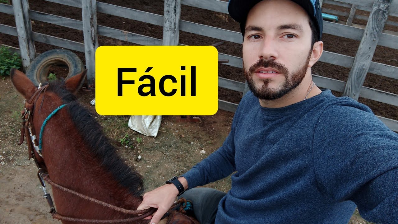 COMO ANDAR DE CAVALO PELA PRIMEIRA VEZ 