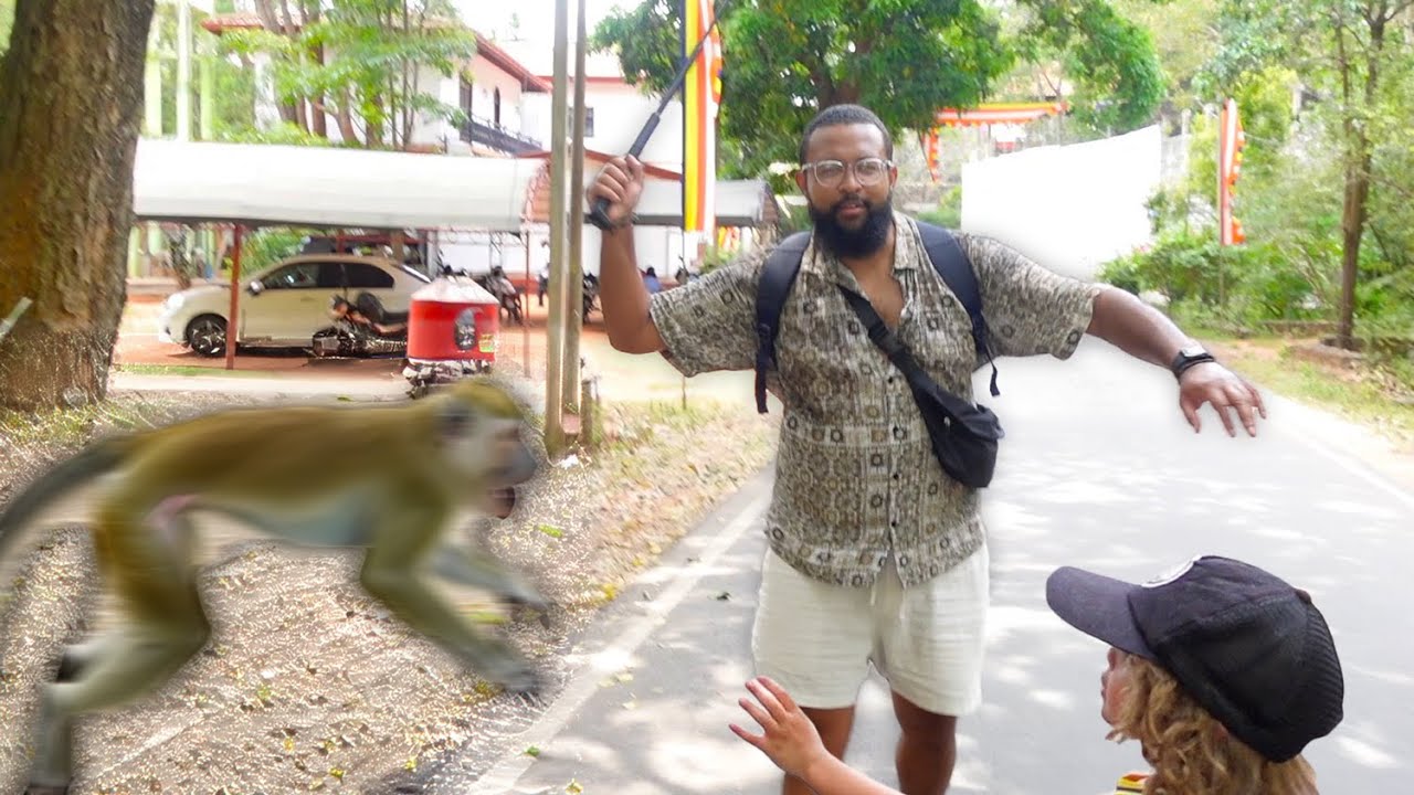 A MONKEY TRIED TO KIDNAP OUR CHILD IN SRI LANKA! | Dambulla Cave Temple