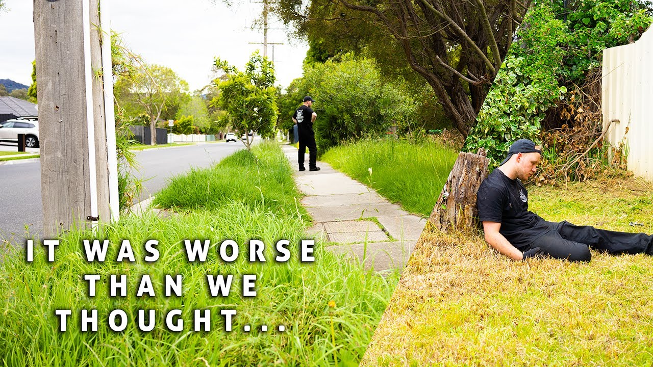 The Hardest Lawn We've Ever Done...