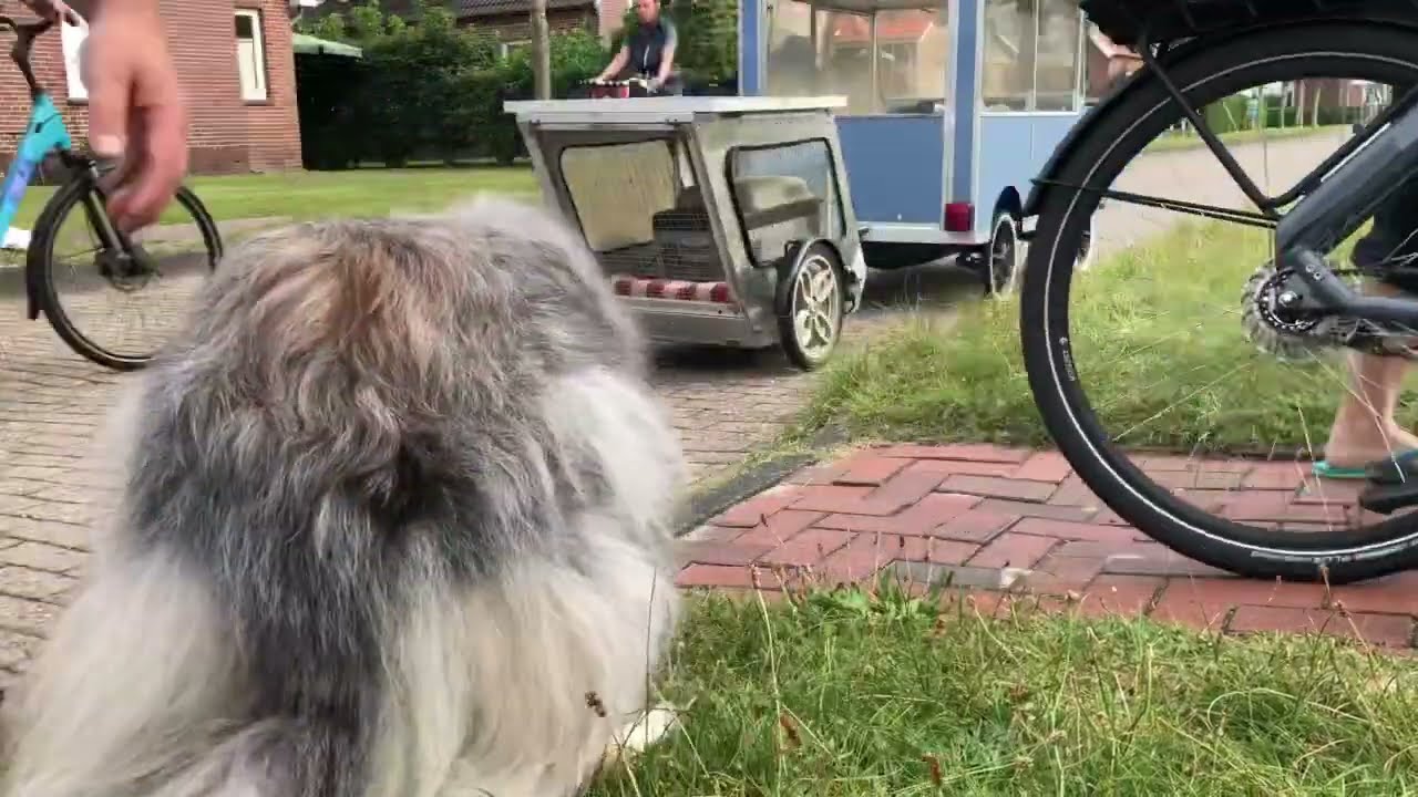 Fahrrad Wohnmobil Teil 13 (Eis kalt 🥶)