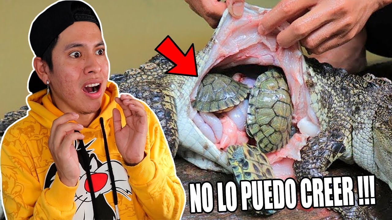 10 COSAS 