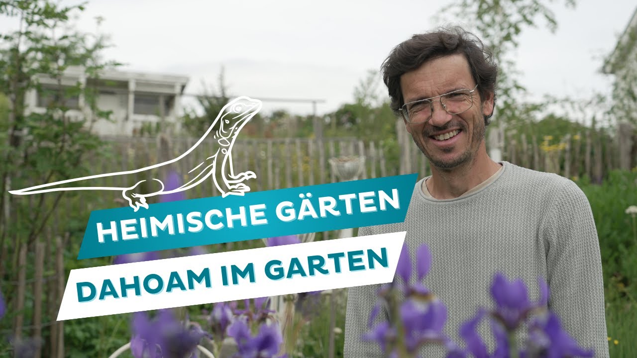 🍃Heimische Gärten und Pflanzen🪻