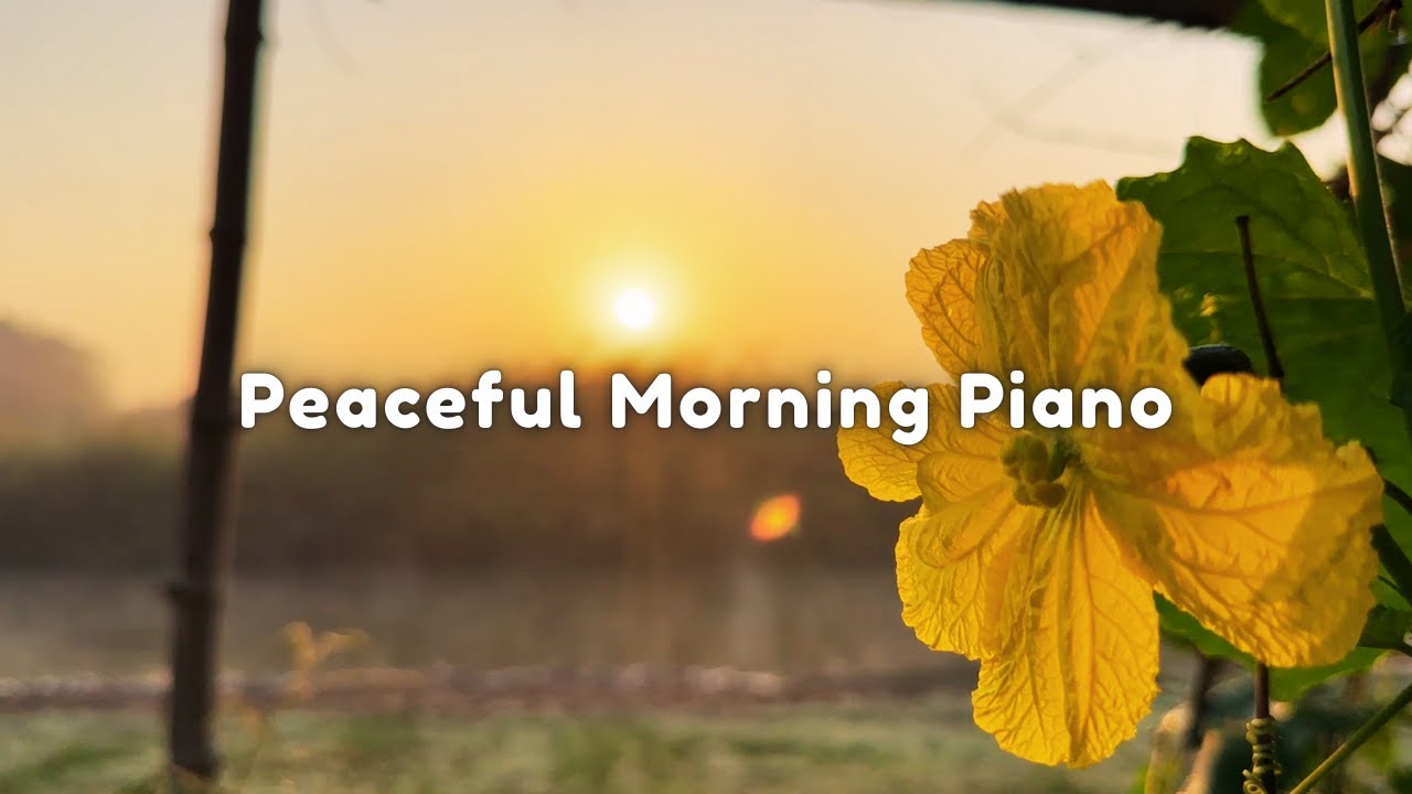 Peaceful Morning Piano ☀️ Fresh Mind, Calm Heart, Nature Vibes (1 hour)