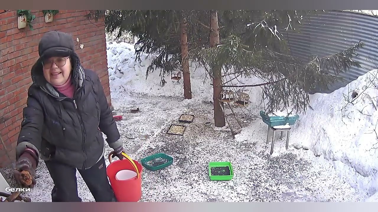 Утро в диком зоопарке за окном.Карта на корм зверятам 2202 2062 6013 7323