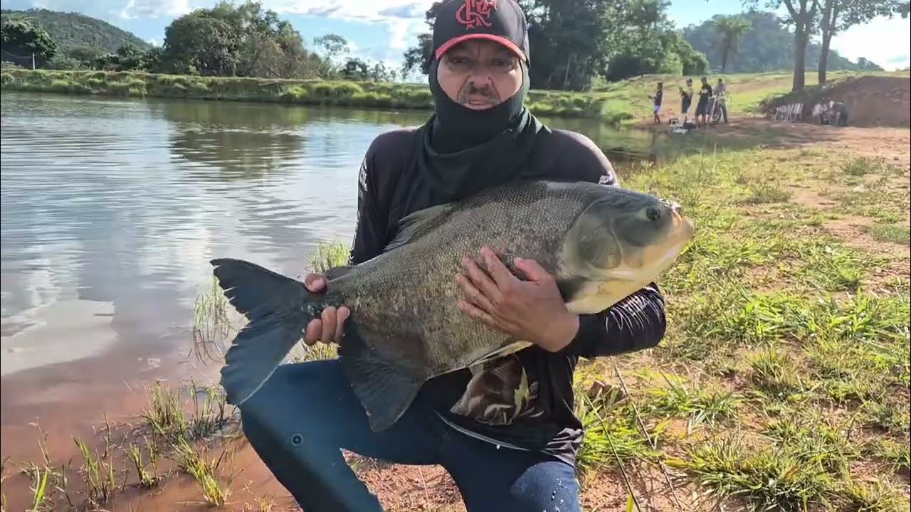 Pesca esportiva pesque pague prosperidade #crescimento #fishing #pescaria 