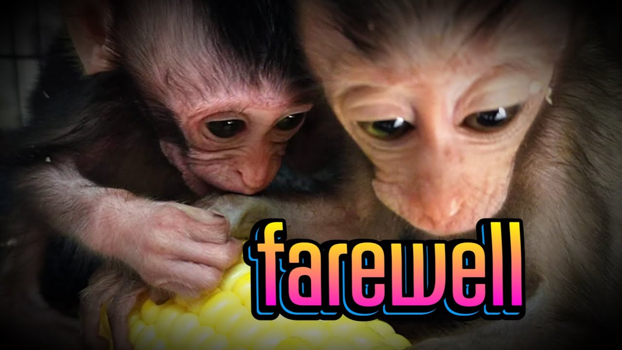 farewell