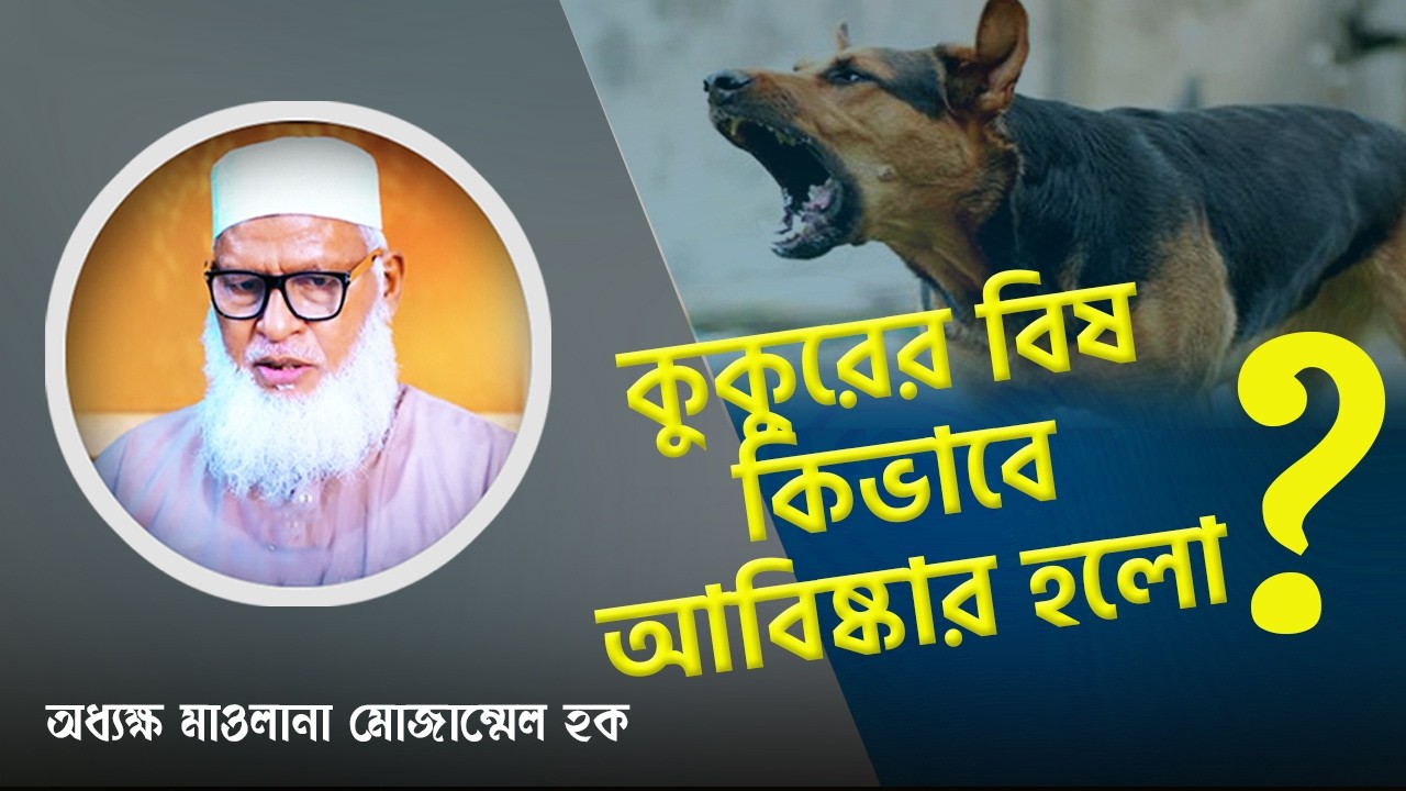 সাদা পাথর রোদে গরম হয় না, এগুলি আল্লাহর কুদরত....। বুনিয়ান । Bunian