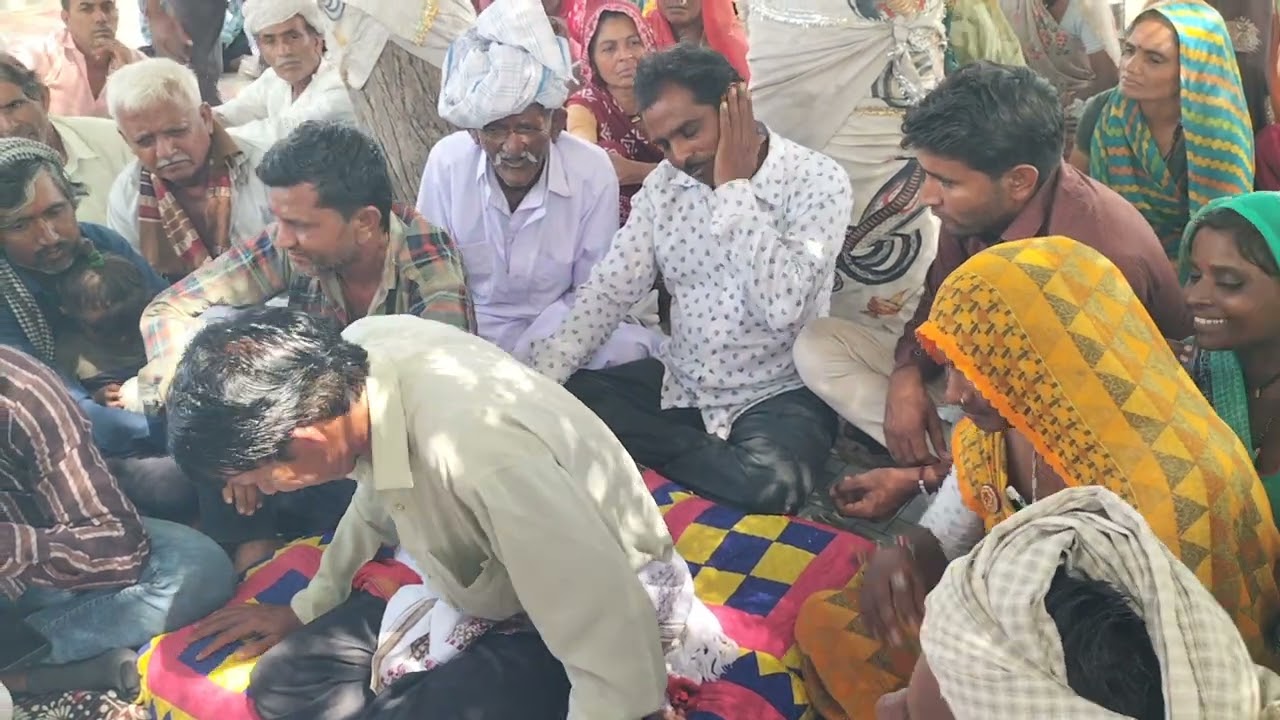 ડોક્ટર પણ પૂસીને દવા કરે છે