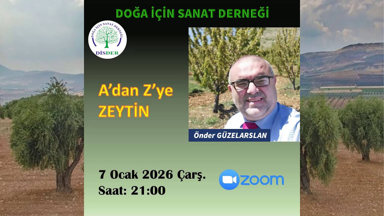 A' dan  Z' ye ZEYTİN - Önder GÜZELARSLAN
