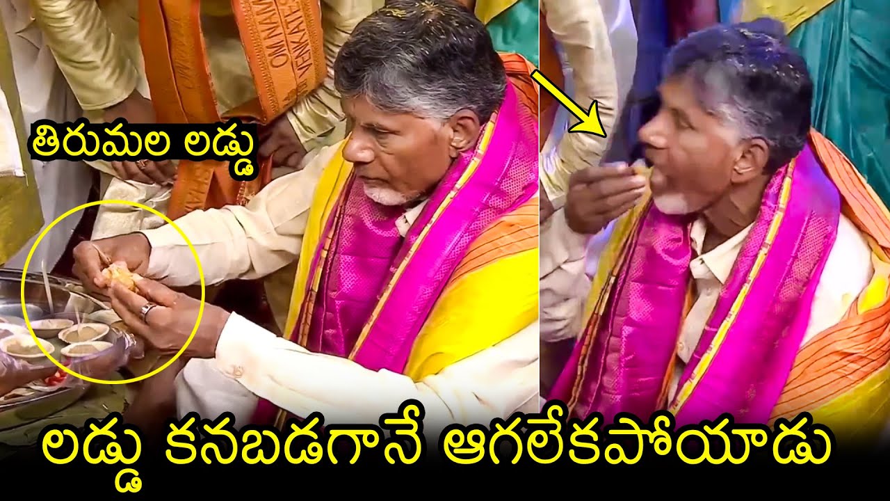 CM Chandrababu Eating Tirumala Laddu At Tirumala Tirupathi Brahmothsavalu | Filmylooks