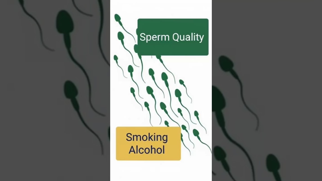 Smoking & Alcohol: Silent Killers of Sperm Motility  | Dr Durga Vytla | IVF Specialist