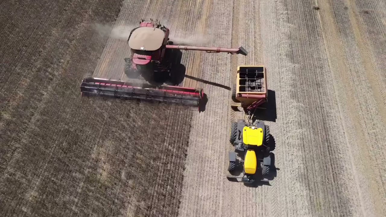 #Harvest21#caseih#jcb