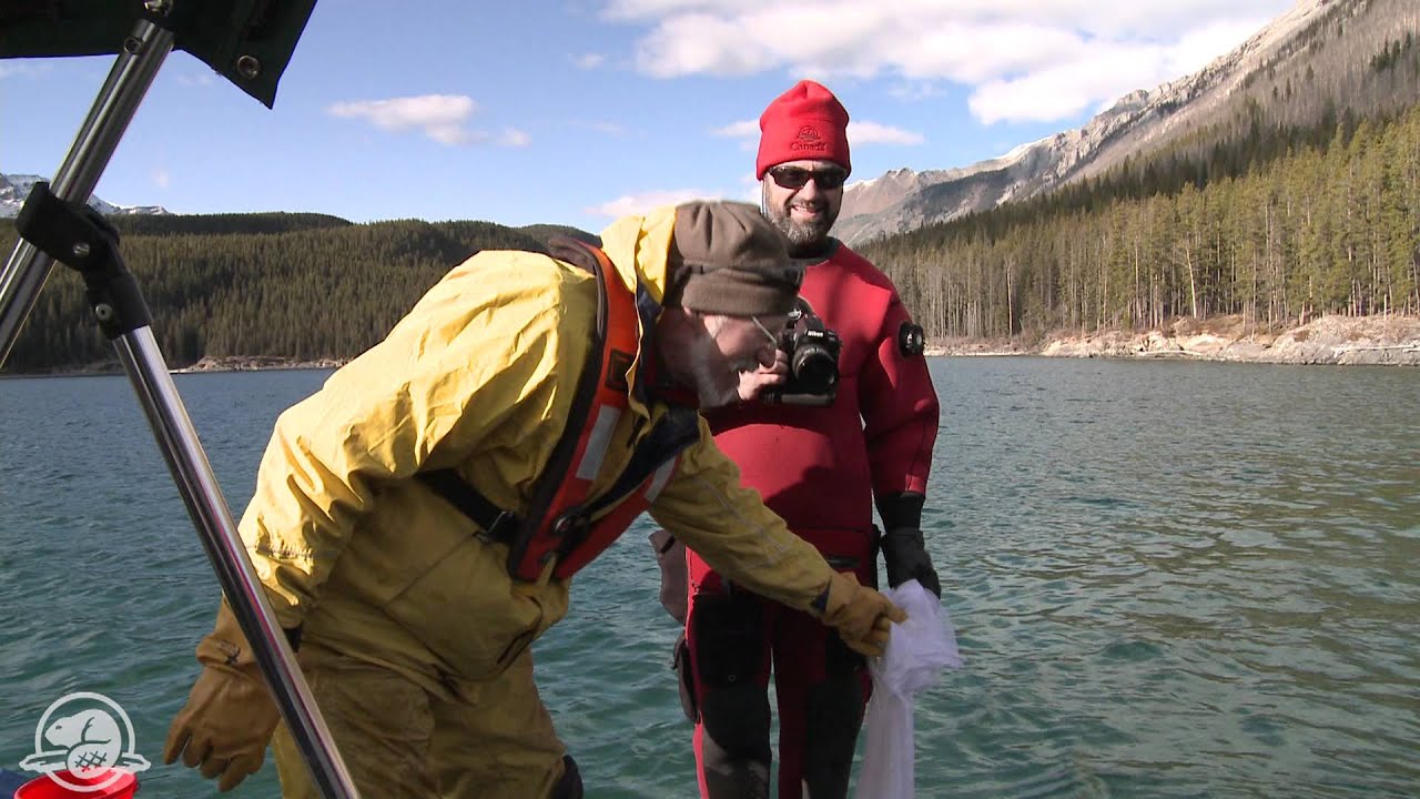 Banff National Park - Lake Minnewanka Underwater Archaeology