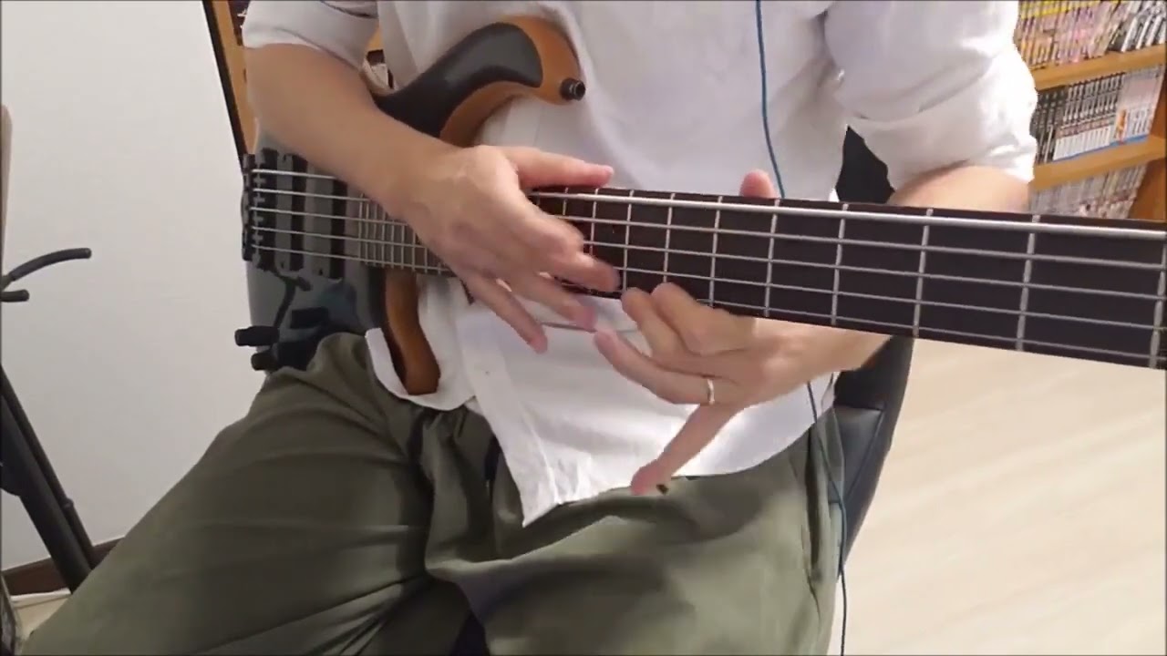 Protest The Hero - Bone Marrow 【Bass cover】