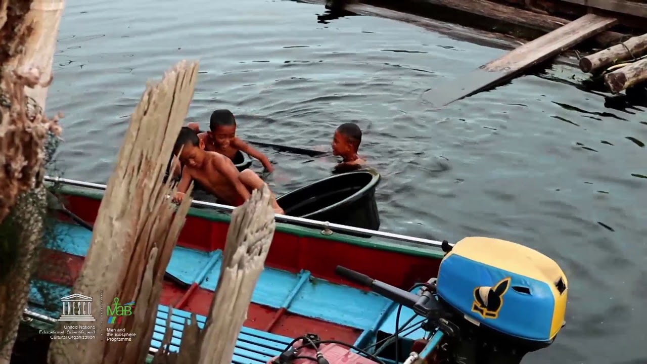 Betung Kerihun Danau Sentarum Kapuas Hulu, Indonesia