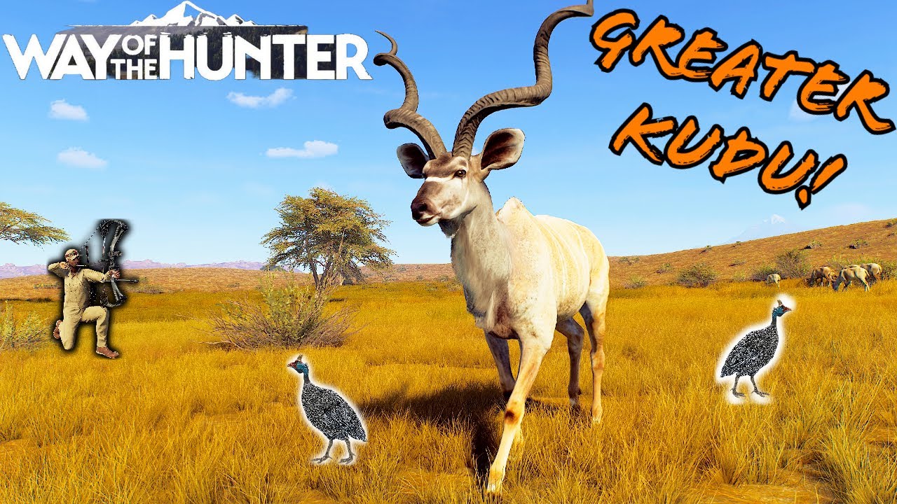 The 5 star Greater Kudu hunt! | Way of the Hunter