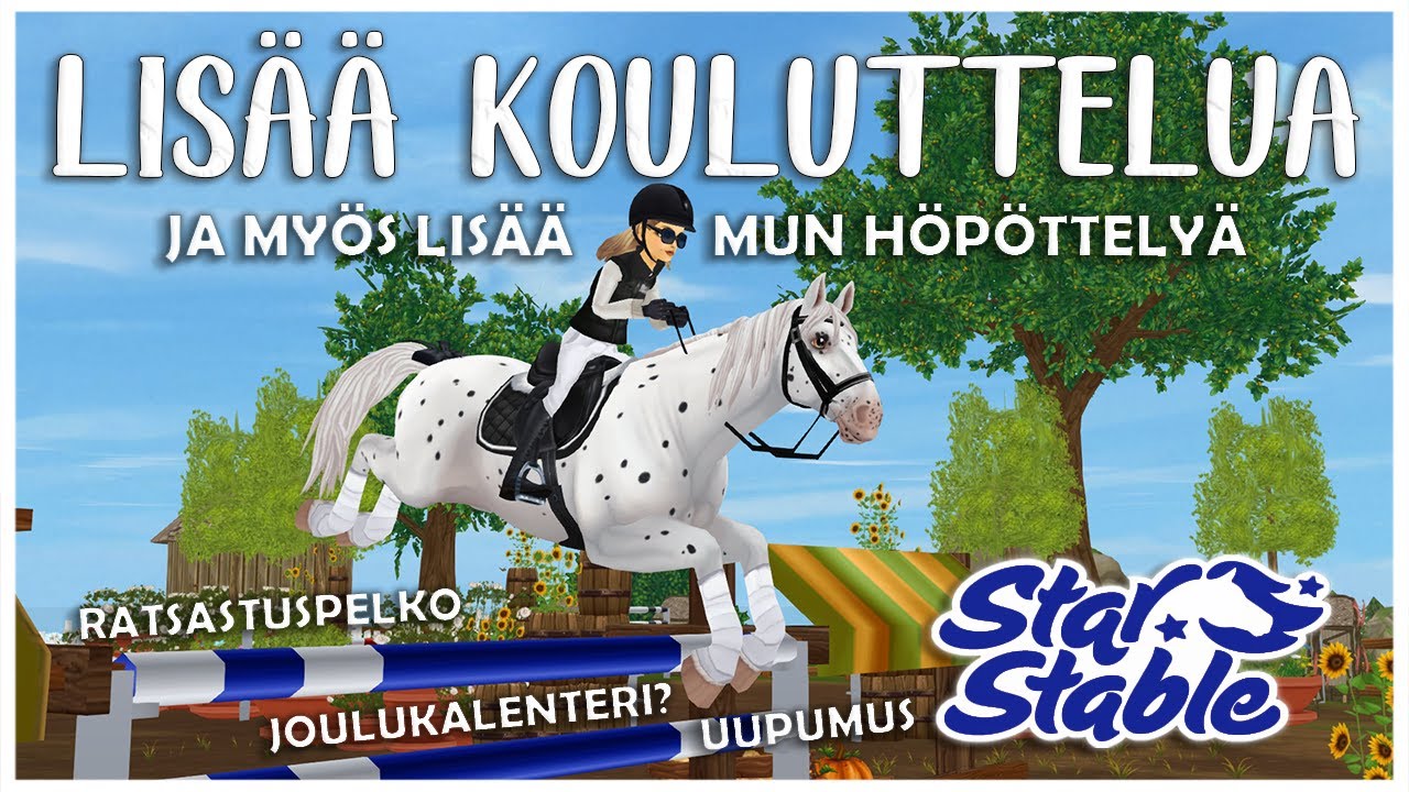 Koulutusta pt 2 | SSO Suomi