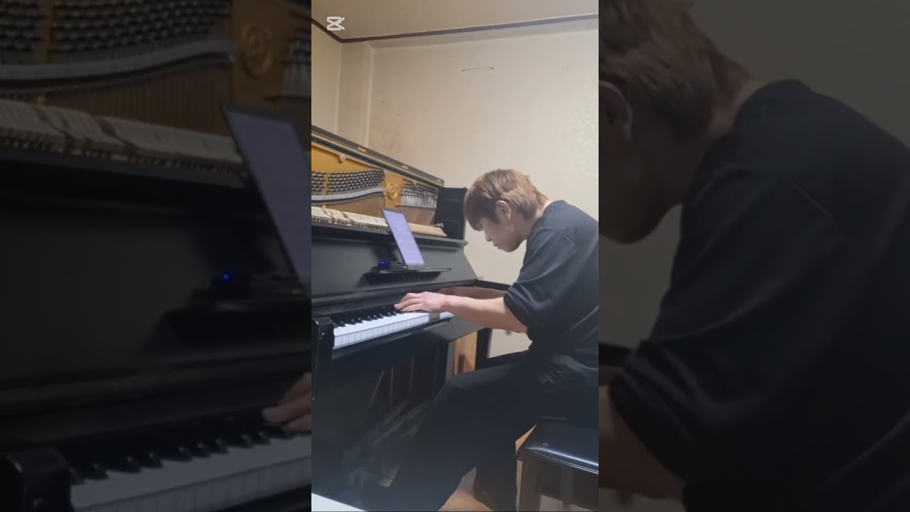 “No Words Needed – Piano Version of My Heart Will Go On” full