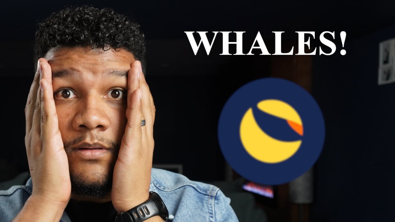 LUNC Whales Will F**K Everything Up!!!