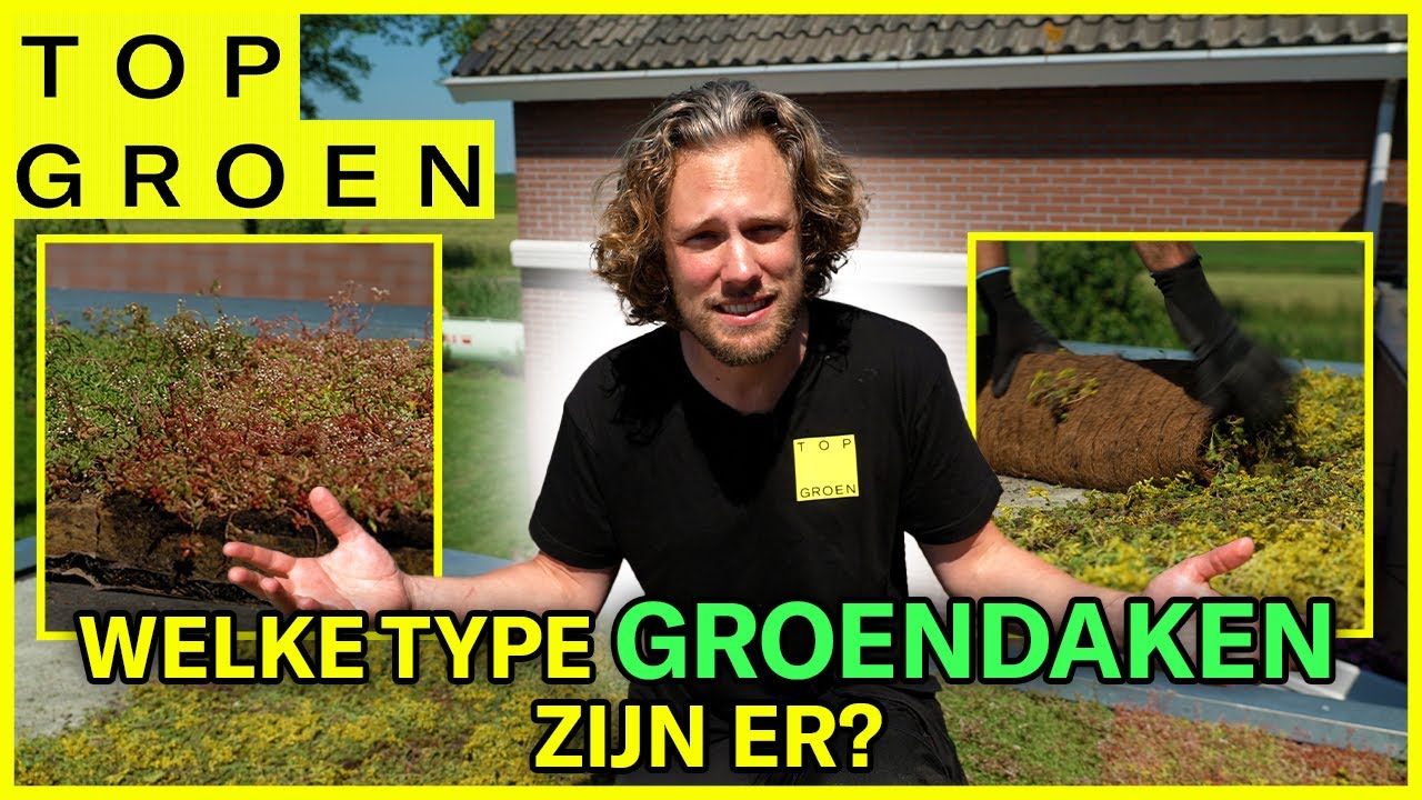 Welke type groendaken zijn er?