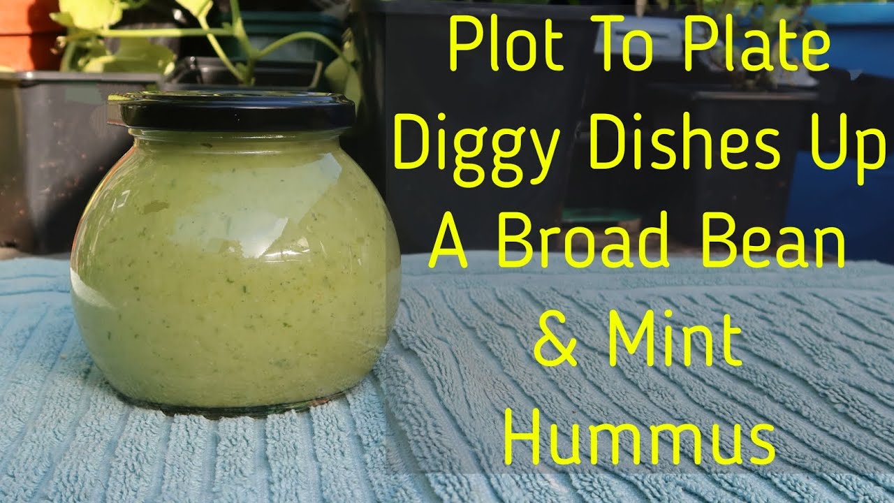 Broad Bean & Mint Hummus - DELICIOUS!