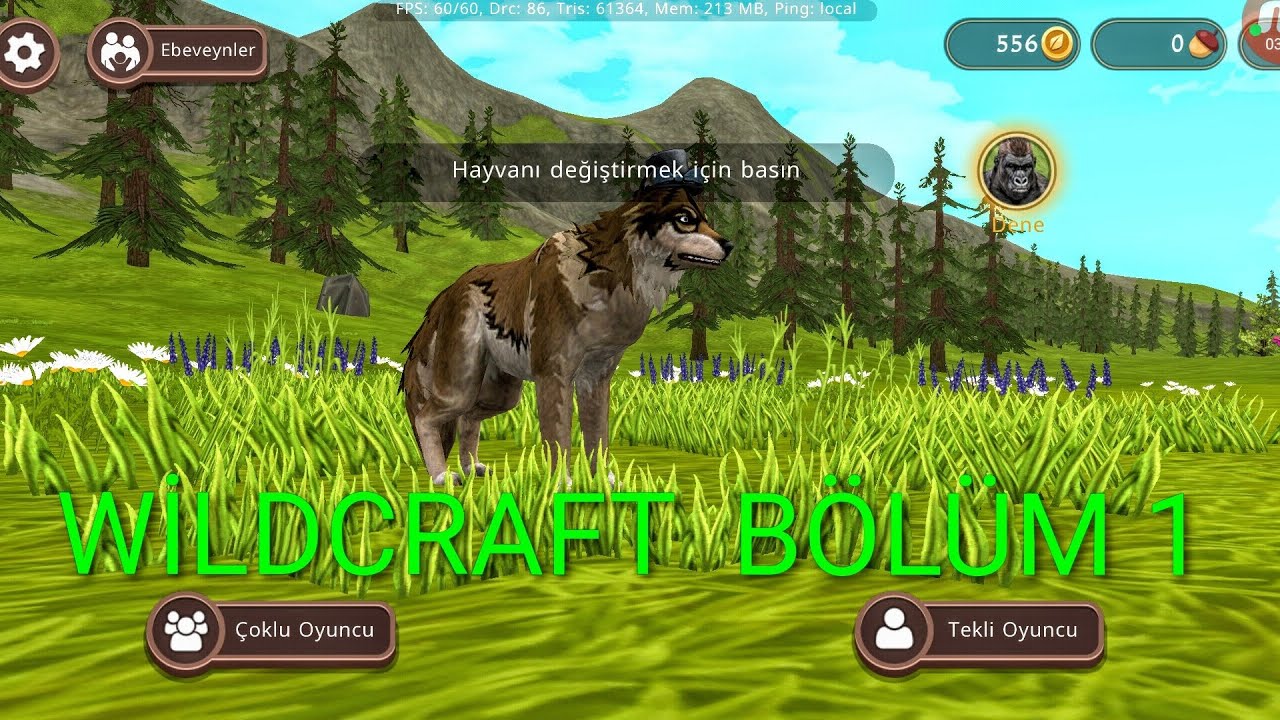 WİLDCRAFT BÖLÜM 1 